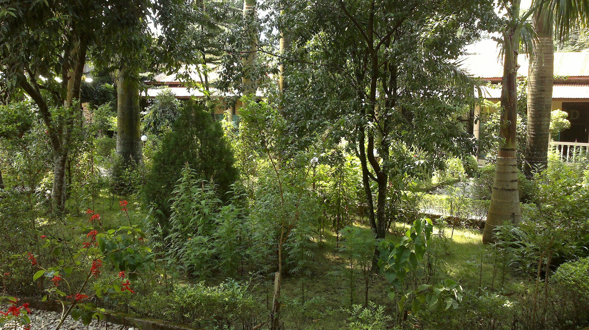 Hotel Ama Garden Sauraha Exterior foto