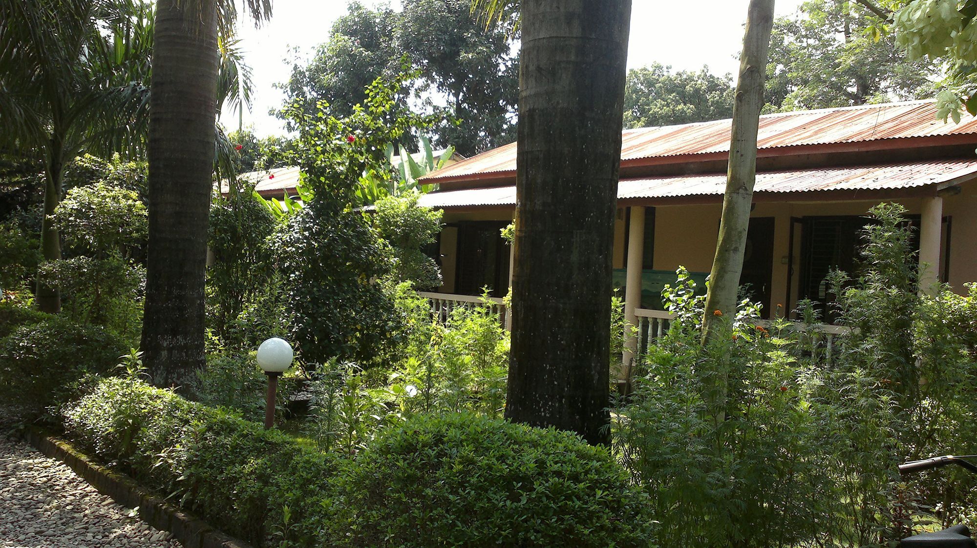 Hotel Ama Garden Sauraha Exterior foto