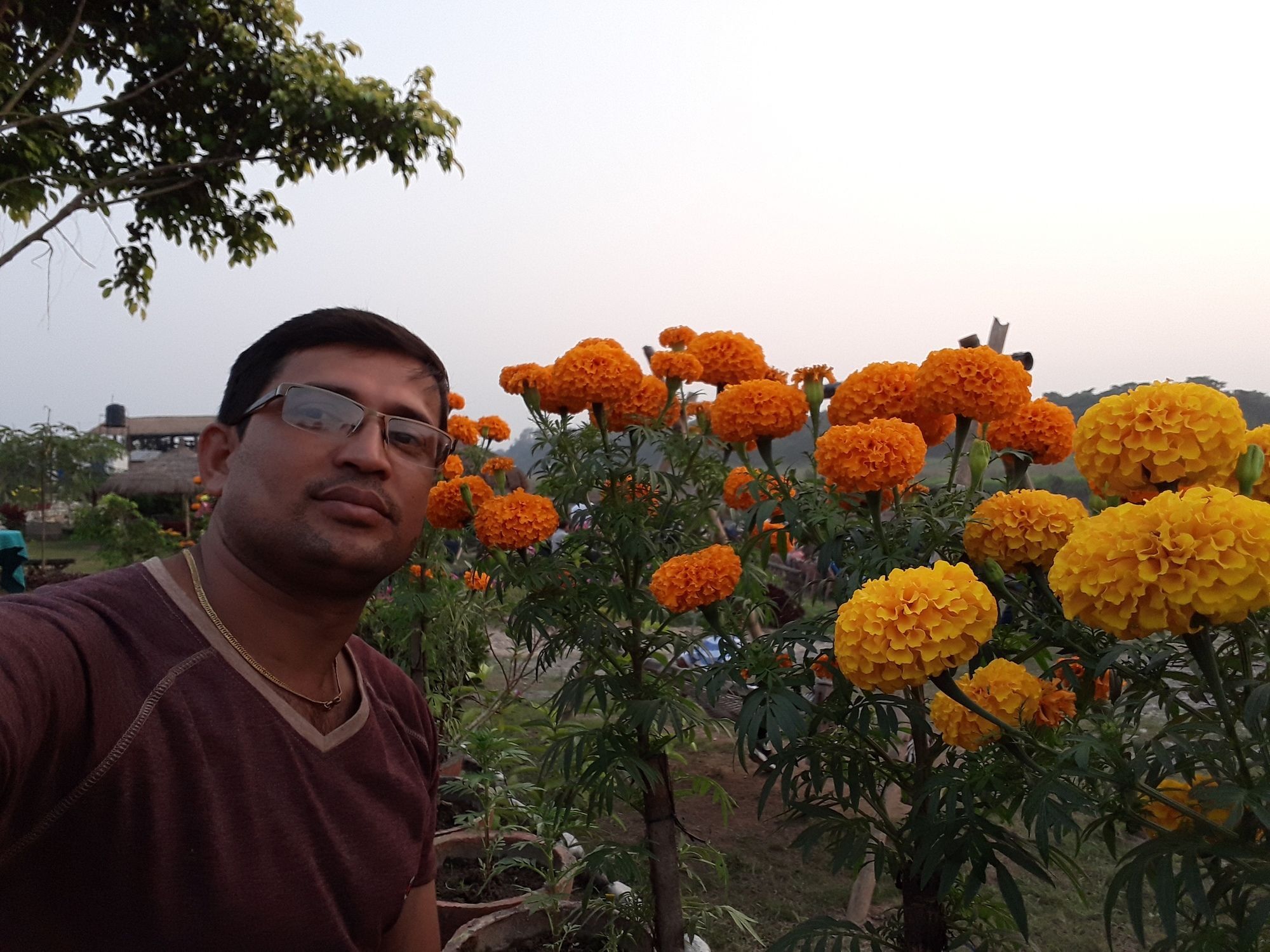 Hotel Ama Garden Sauraha Exterior foto